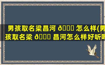 男孩取名梁昌河 🐎 怎么样(男孩取名梁 🐕 昌河怎么样好听吗)